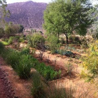 Country House Surrounded By Farmlands, Jaipur 4